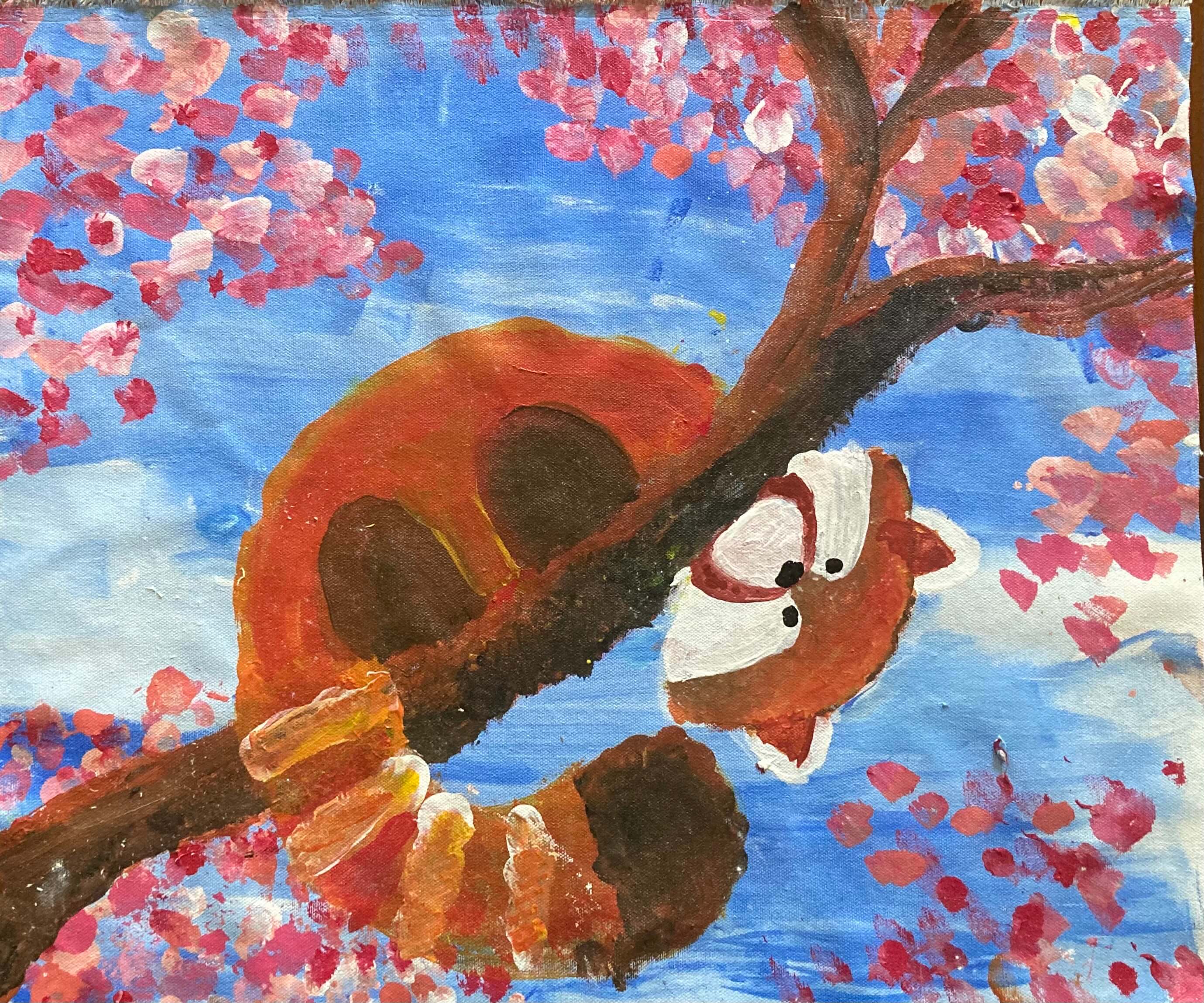 The Case of the Curious Racoon