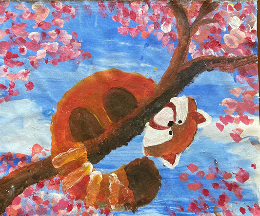 The Case of the Curious Racoon